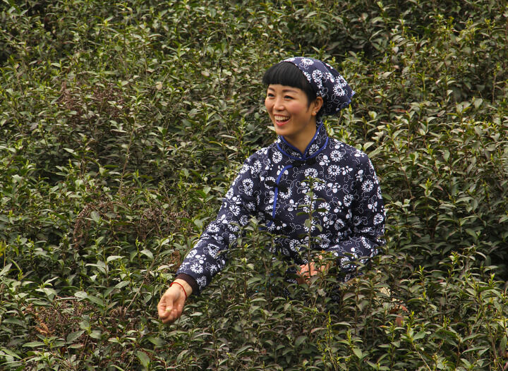 百丽推荐2